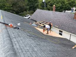Shingle Roof