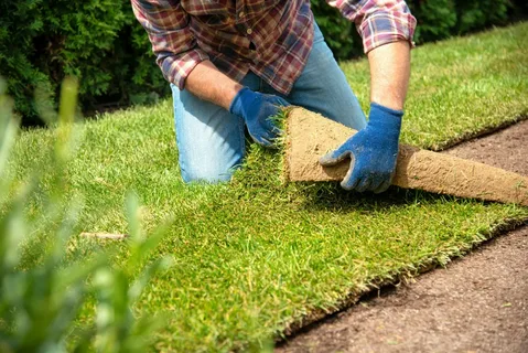 Best Sod Installation Services In Hollywood, FL