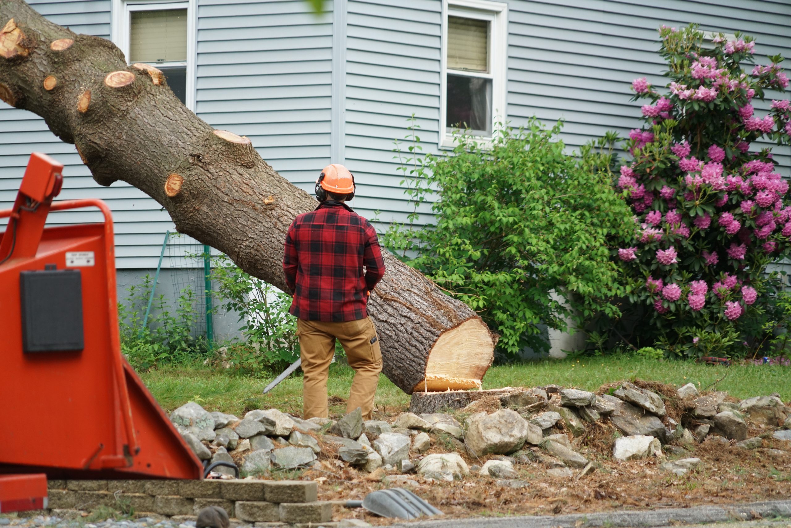 Tree Trimming Services