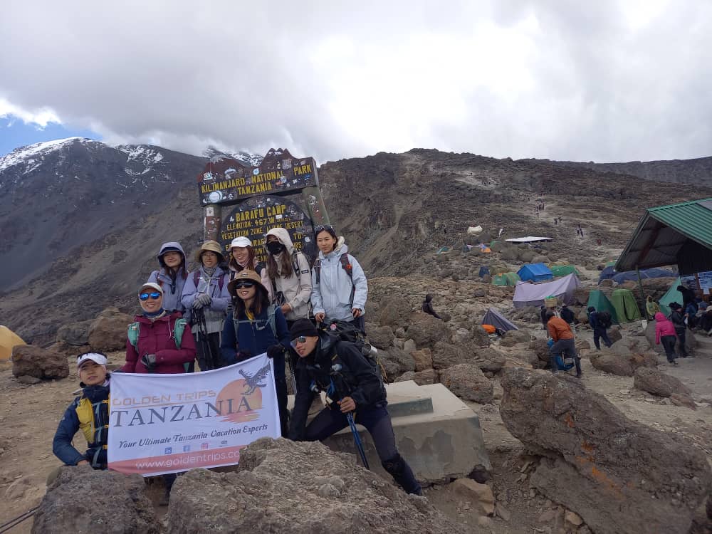 Best Kilimanjaro Tour Companies in 2026