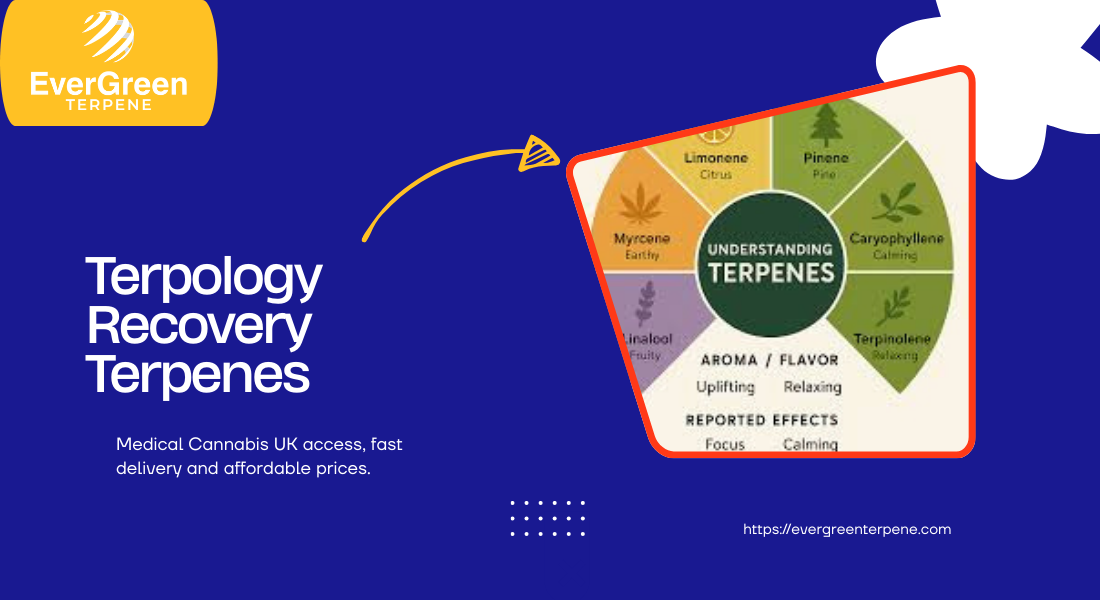 terpology recovery terpenes