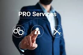 pro services in Dubai
