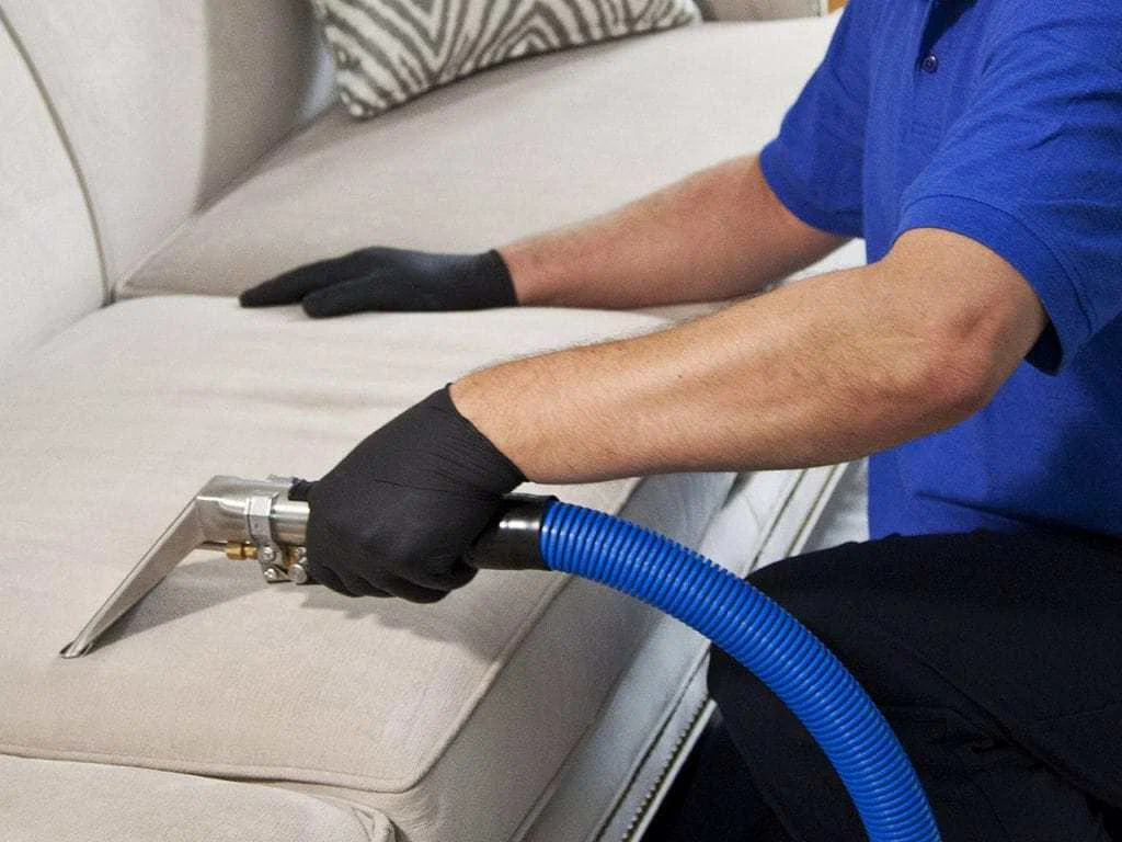 Carpet Cleaning Lakewood CO