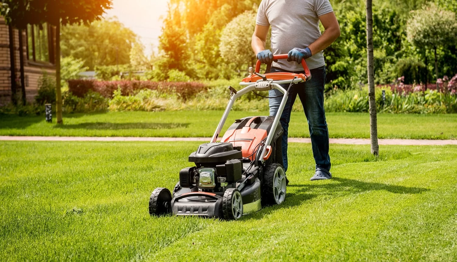 Mulching