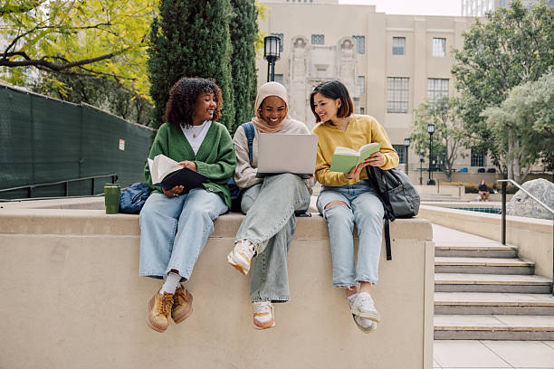 essay writing service